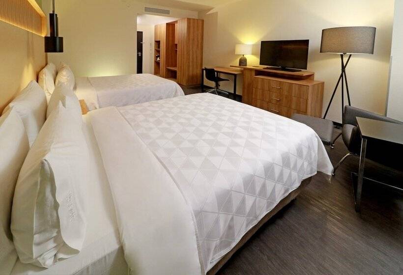 غرفه قياسيه سريرين مزدوجين, Holiday Inn San Luis Potosi Quijote By Ihg