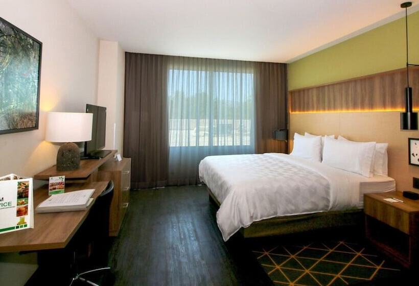 غرفه قياسيه سريرين مزدوجين, Holiday Inn San Luis Potosi Quijote By Ihg