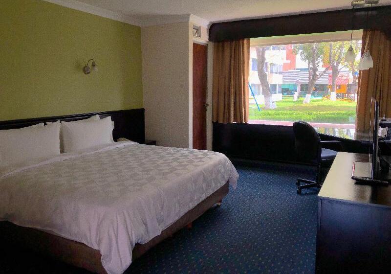 اتاق استاندارد با تخت بزرگ, Holiday Inn San Luis Potosi Quijote By Ihg