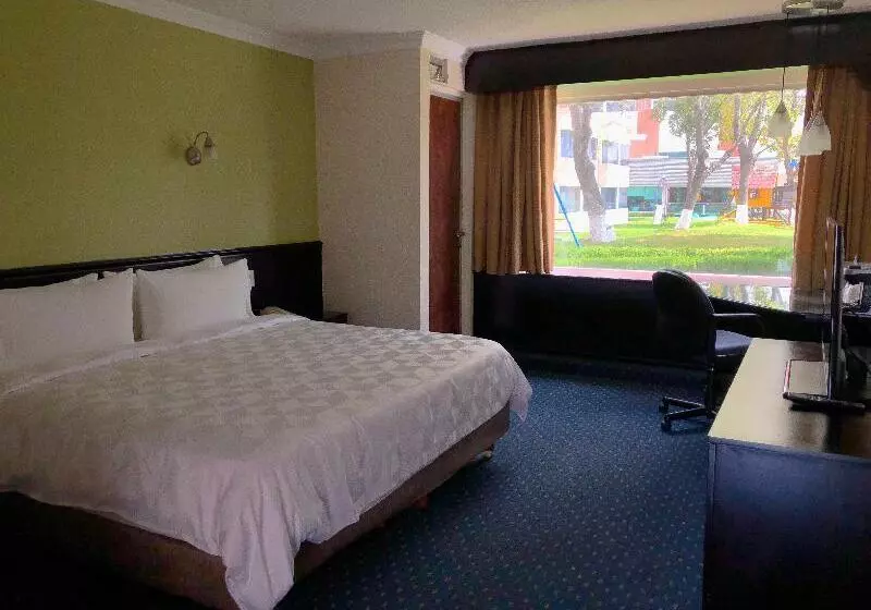 اتاق استاندارد با تخت بزرگ, Holiday Inn San Luis Potosi Quijote By Ihg