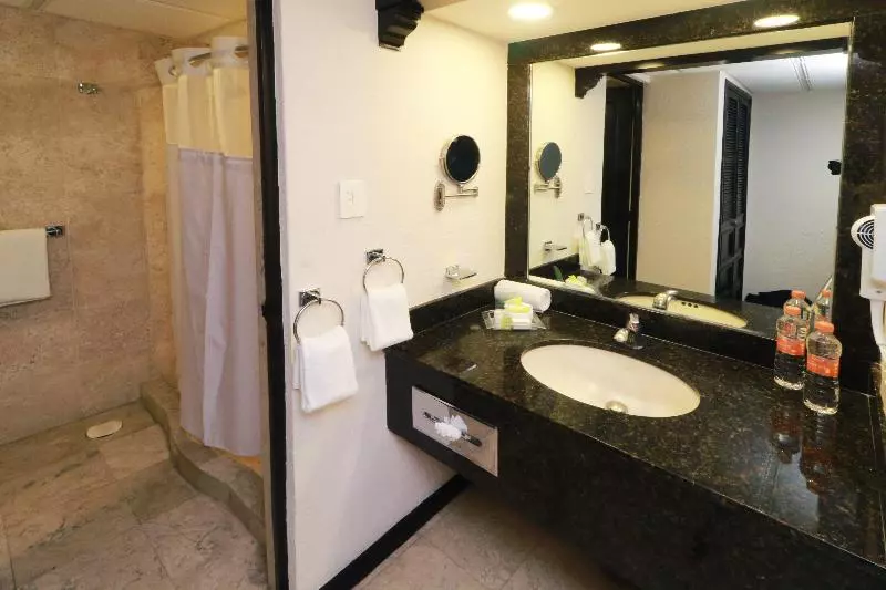اتاق استاندارد با تخت بزرگ, Holiday Inn San Luis Potosi Quijote By Ihg