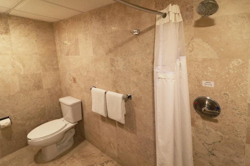 اتاق استاندارد با تخت بزرگ, Holiday Inn San Luis Potosi Quijote By Ihg