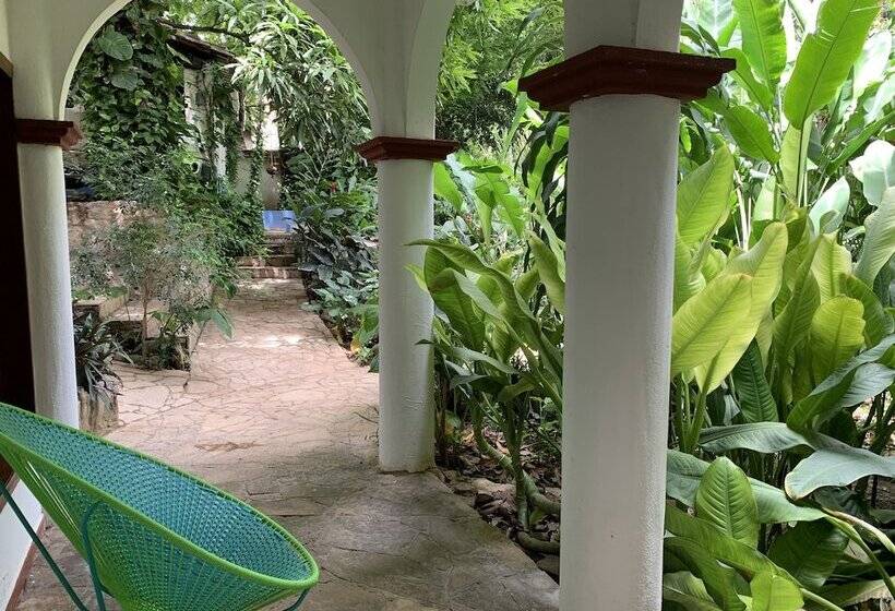 חדר סטנדרט, La Ceiba