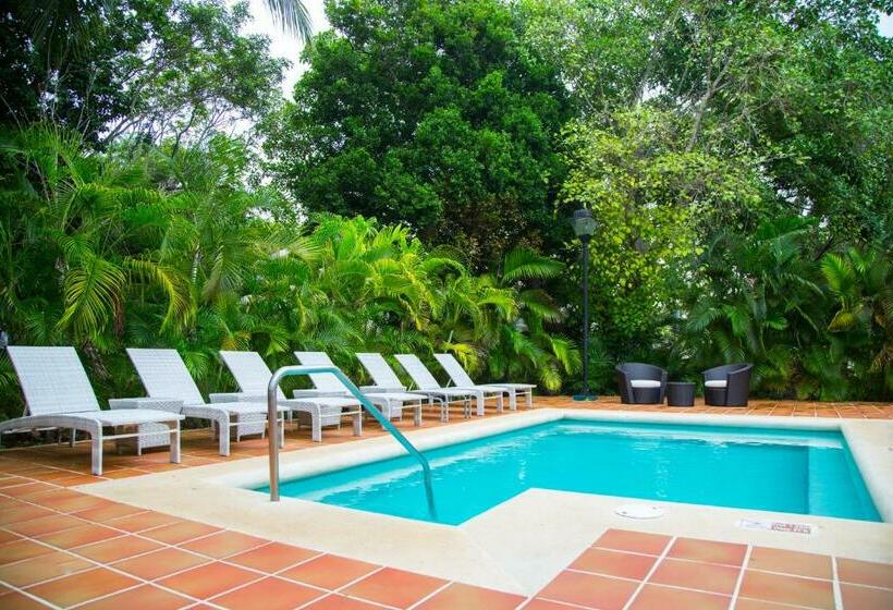 주니어 스위트, Sandos Playacar All Inclusive