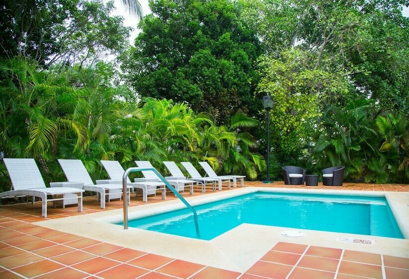 주니어 스위트, Sandos Playacar All Inclusive