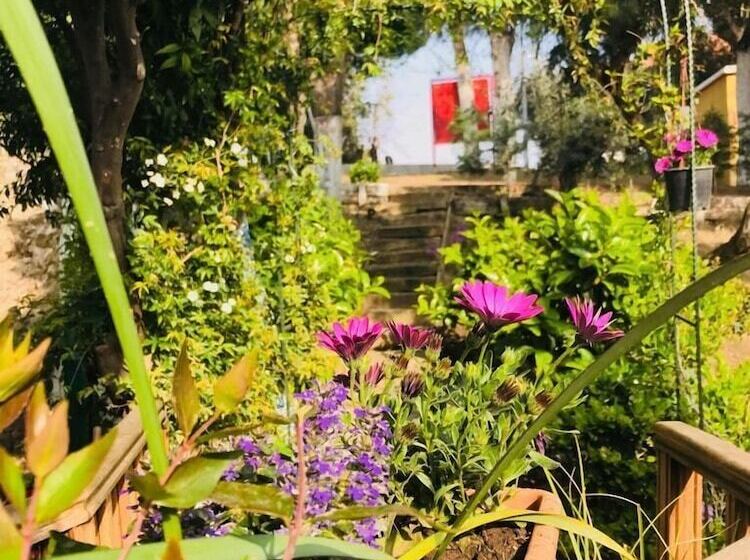 Номер Deluxe с Видом, Ibri