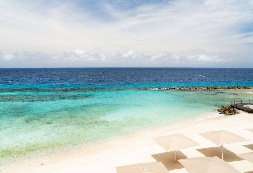 اتاق استاندارد با تخت دوبل و چشمانداز دریا, Curaçao Marriott Beach Resort