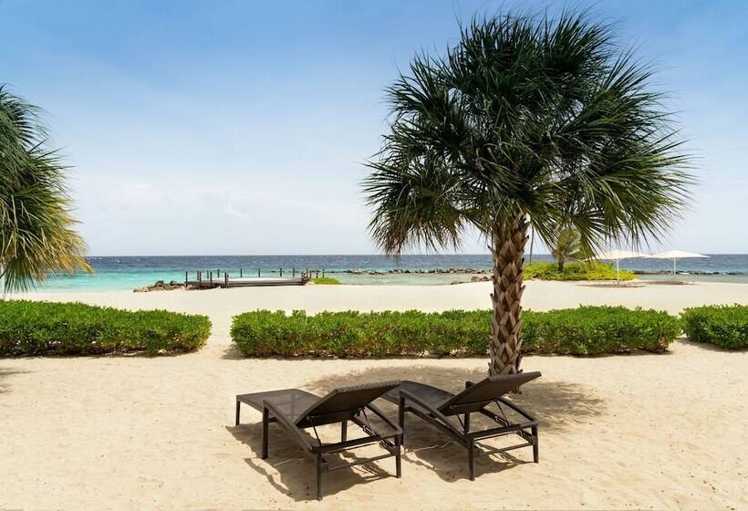 اتاق استاندارد با تخت دوبل و چشمانداز دریا, Curaçao Marriott Beach Resort