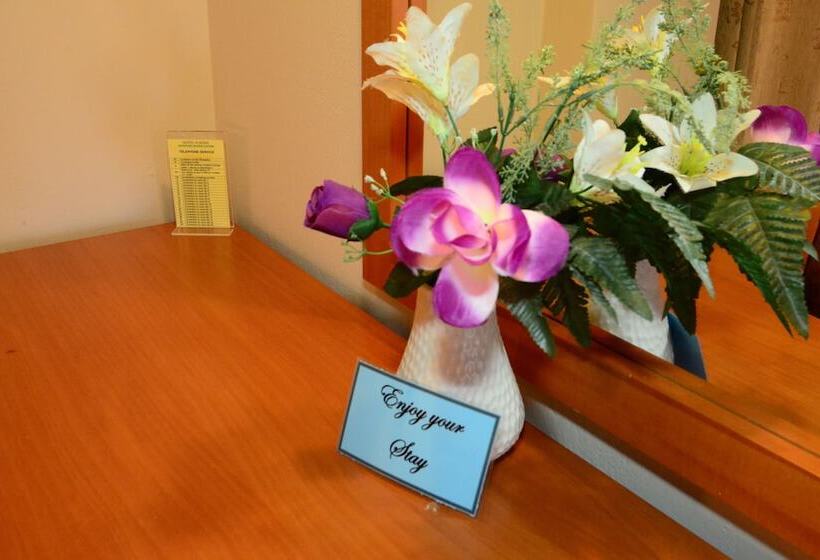 스탠다드 싱글 룸, Sappho