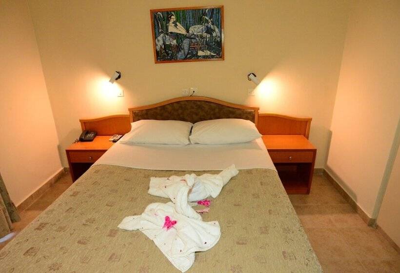 스탠다드 싱글 룸, Sappho