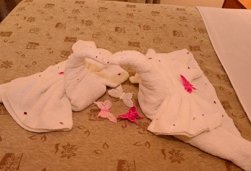 스탠다드 싱글 룸, Sappho