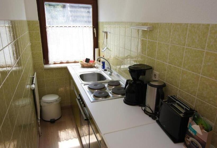 Студио Стандарт с Балконом, Dorfkrug Busum