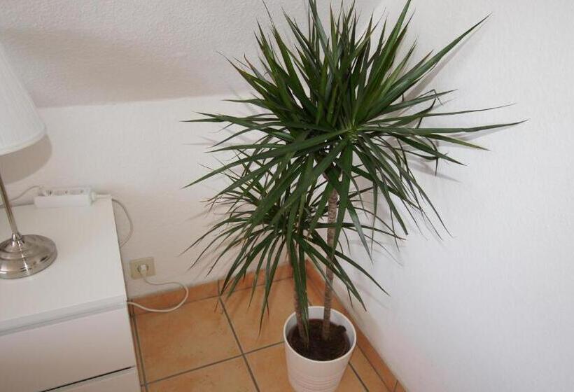 Студио Стандарт с Балконом, Dorfkrug Busum