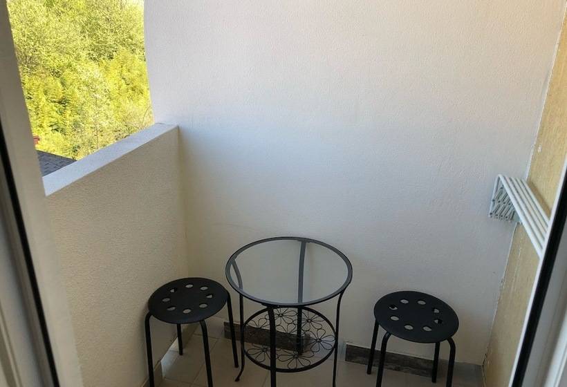 סטודיו סטנדרט עם מרפסת, Bliznetsy Apart