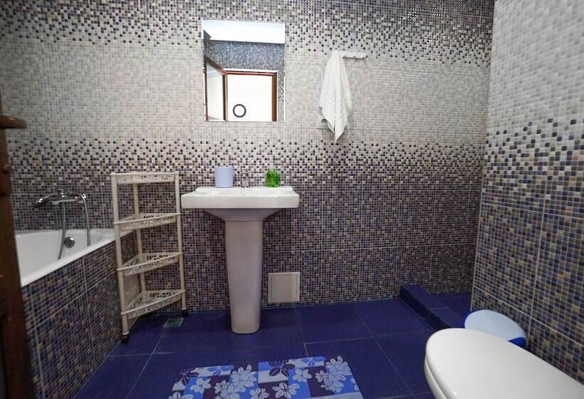 סטודיו דלוקס, Bliznetsy Apart