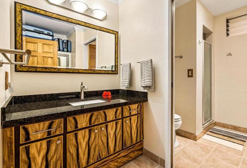 Apartament 2 Dormitoare, Keauhou Punahele#e 102