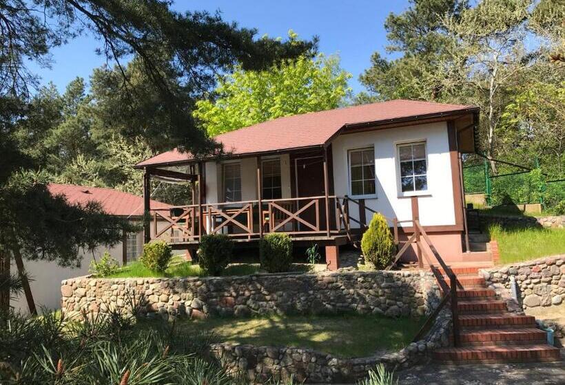 شاليه غرفة نوم واحدة, Ow Ameba