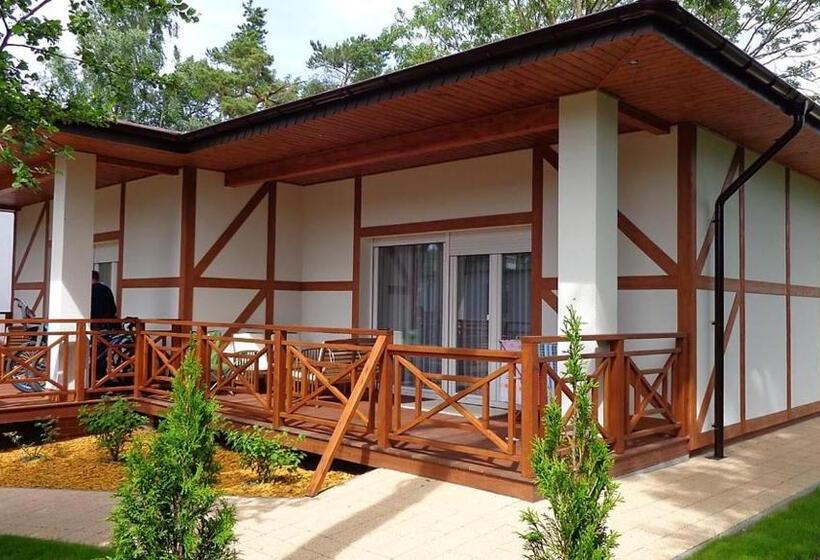 شقة غرفة واحدة مزودة بتراس, Ow Ameba