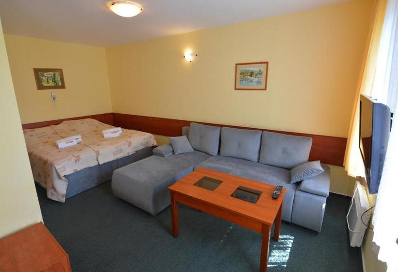 شقة غرفة واحدة مزودة بتراس, Ow Ameba