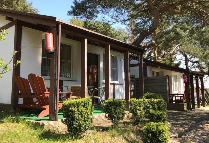 شاليه غرفة نوم واحدة, Ow Ameba