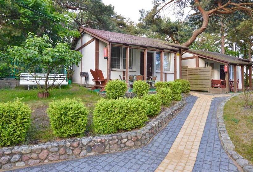 شاليه غرفة نوم واحدة, Ow Ameba