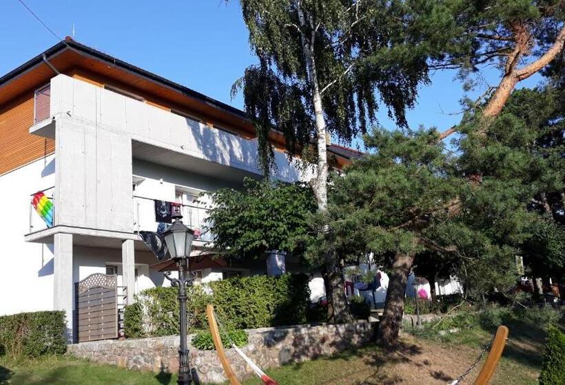 غرفة ديلوكس, Ow Ameba