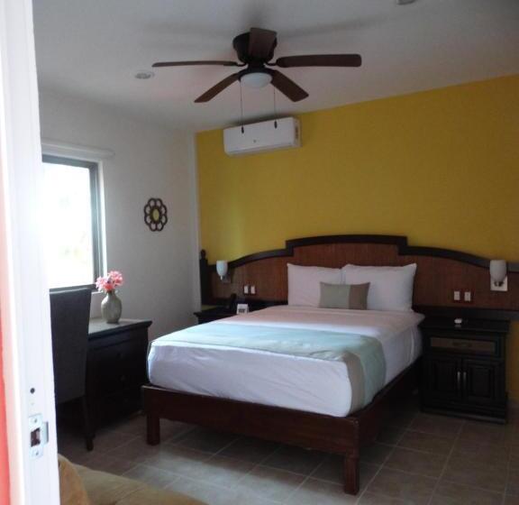 이코노미 룸, Casa San Juan