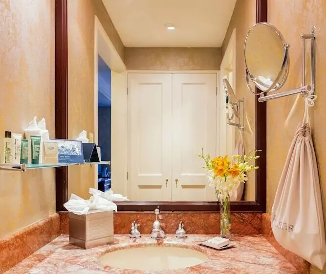 اتاق اجرایی, Hilton Princess Managua