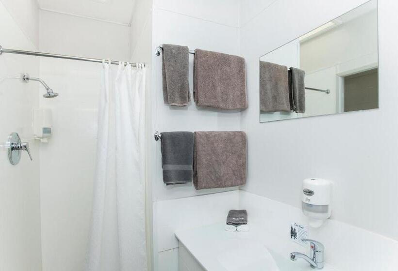 Люкс 2 Спальни, Waikanae Beach Motel