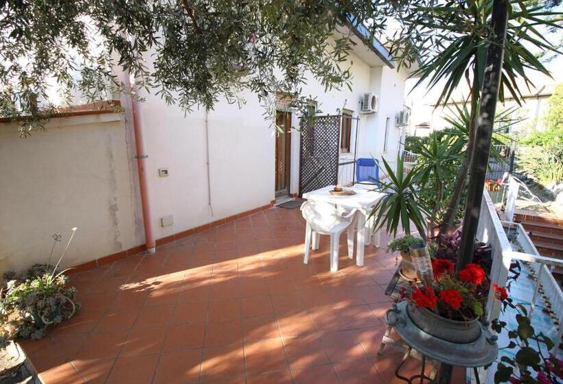 스탠다드 테라스 룸, B&b Villa Rosa