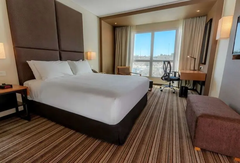 ダブルベッドスタンダードルーム, Hilton Garden Inn Neuquen