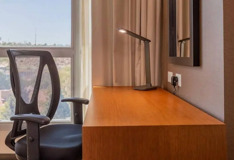 ダブルベッドスタンダードルーム, Hilton Garden Inn Neuquen