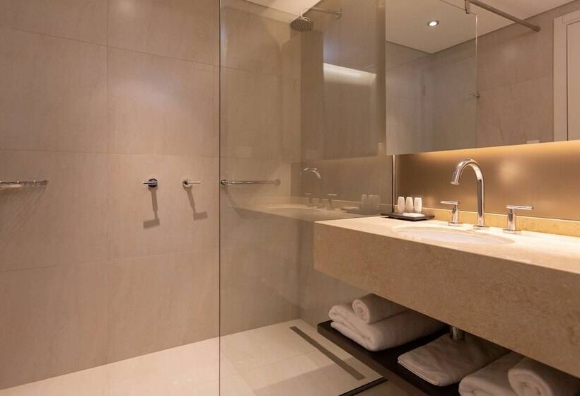 스탠다드 룸 산 전망, Hilton Garden Inn Neuquen
