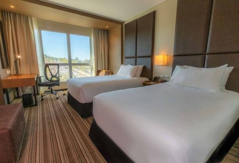스탠다드 룸 산 전망, Hilton Garden Inn Neuquen