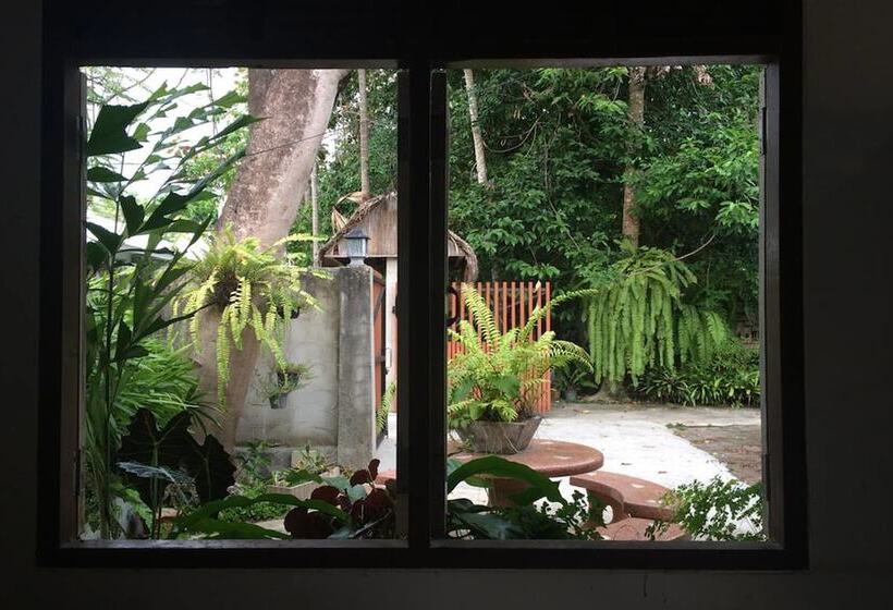 غرفة قياسية, Fern House Retreat