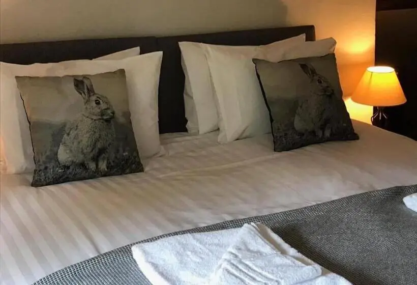 Superior-huone, The Coach House Inn