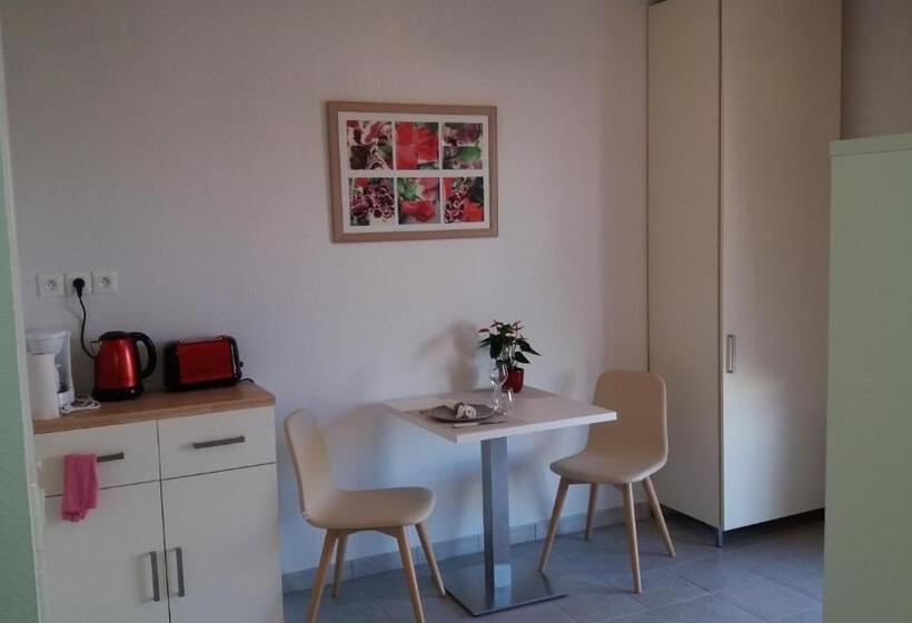 Студия Стандарт, Résidence Estérazur