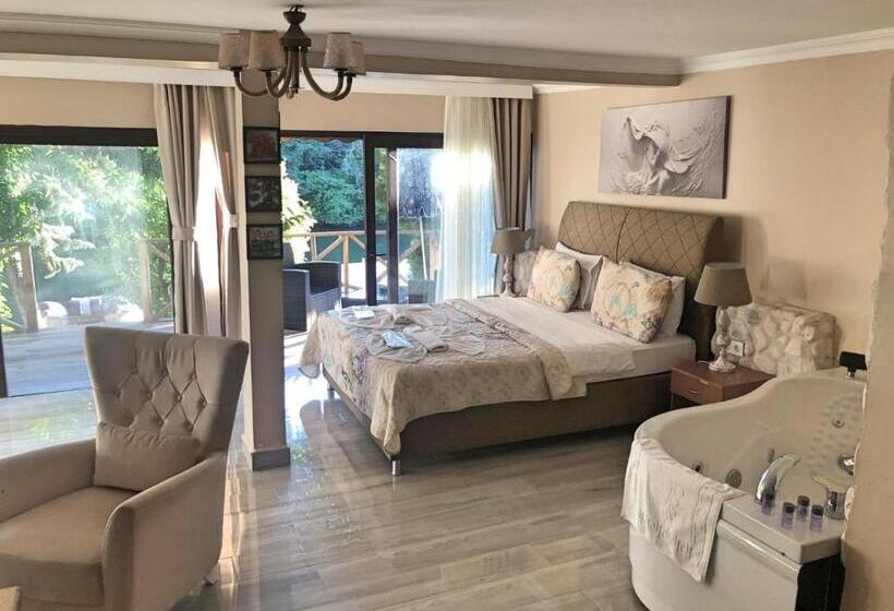 Номер Deluxe, Alesta Butik Otel