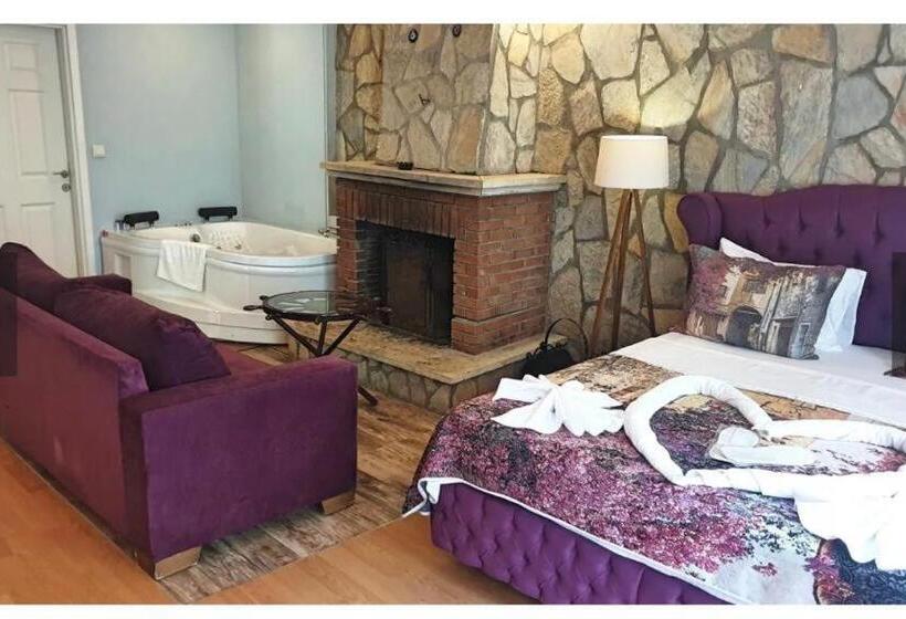 Номер Стандарт, Alesta Butik Otel