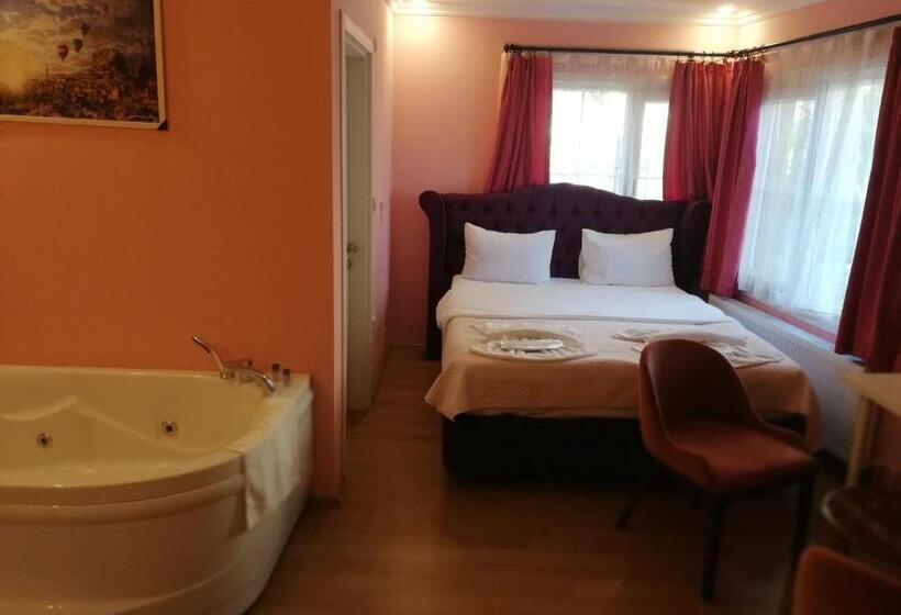 Номер Стандарт Вид на Бассейн, Alesta Butik Otel