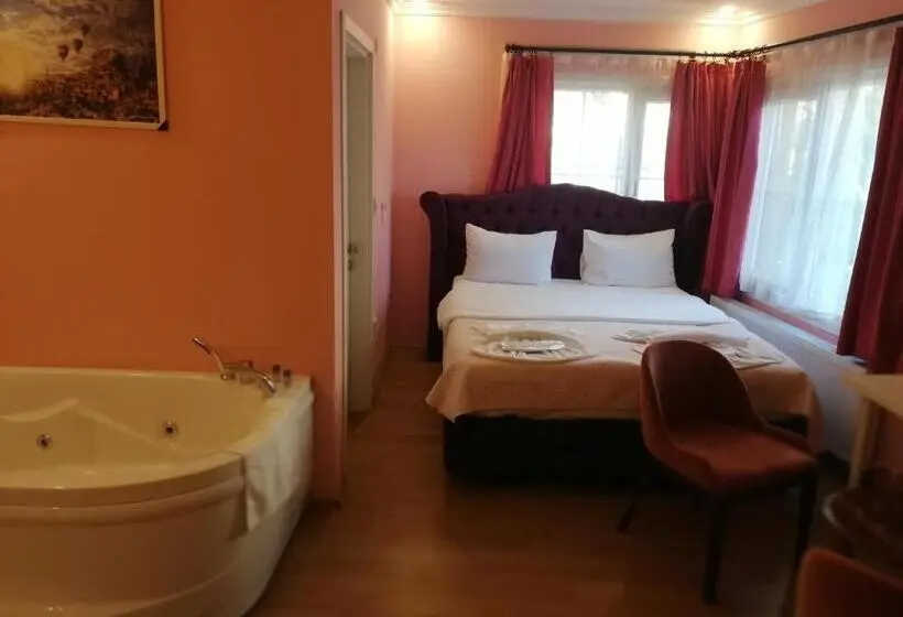 プールビュースタンダードルーム, Alesta Butik Otel