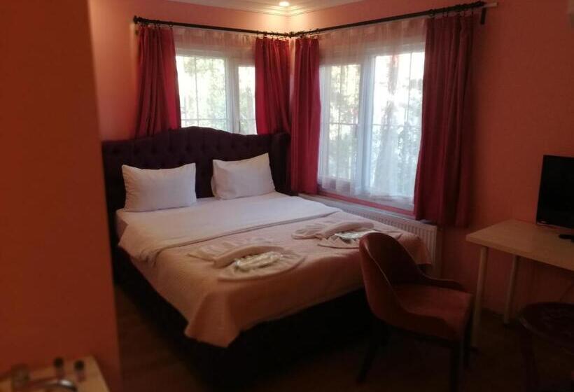 プールビュースタンダードルーム, Alesta Butik Otel