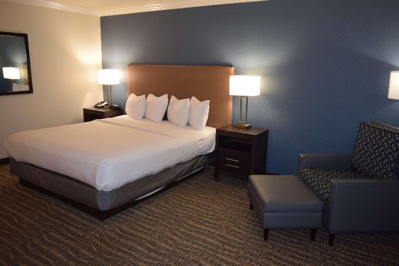 四人豪华间, Sun Moon Lake Friday Inn Backpacking