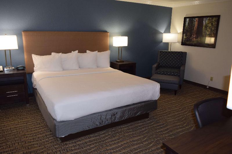 四人豪华间, Sun Moon Lake Friday Inn Backpacking