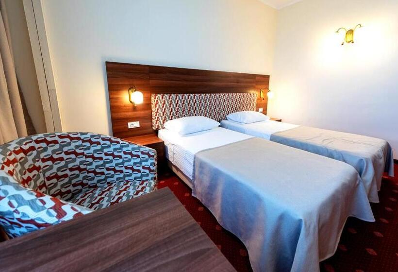 اتاق سوپریور یک تخته, Minerva