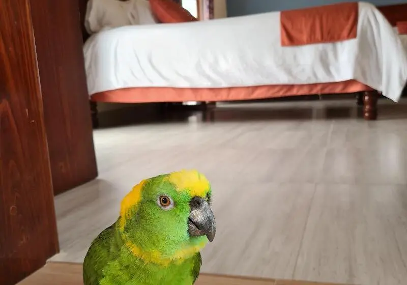 اتاق راحتی, Tai Hu Hotel Sun Moon Lake
