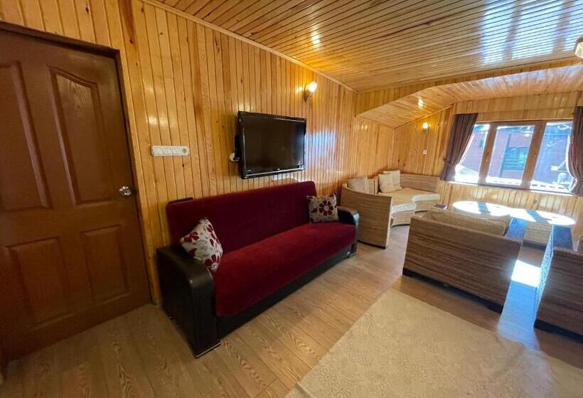 带大床的套房, Ozkan Otel