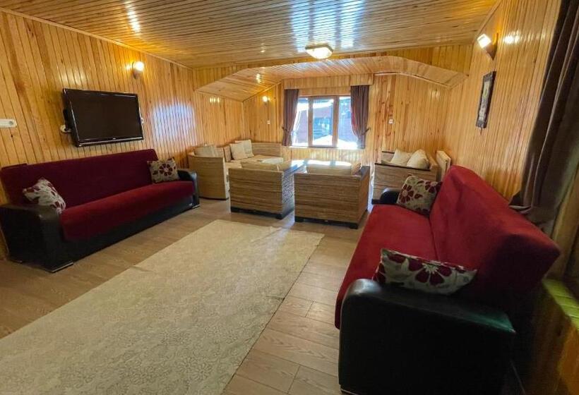 带大床的套房, Ozkan Otel