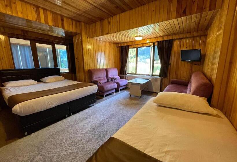 豪华湖景房, Ozkan Otel