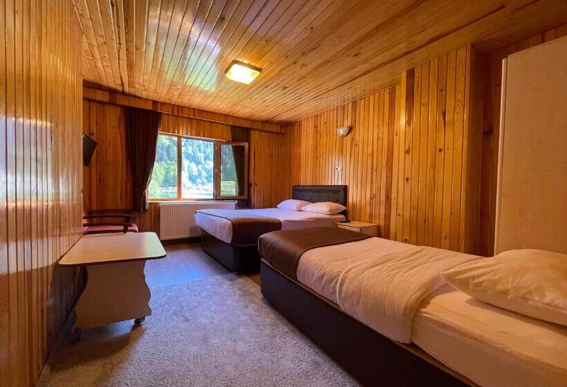 豪华湖景房, Ozkan Otel